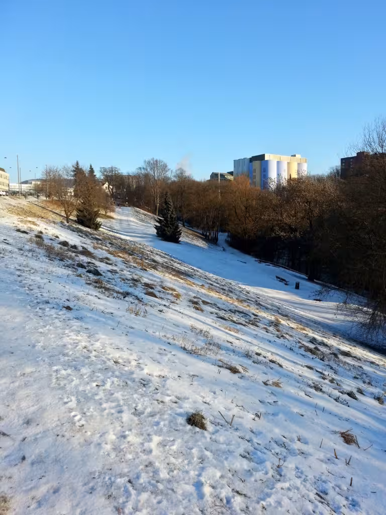 sagene