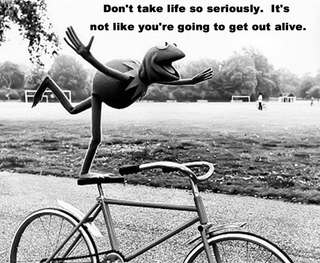 Wisdom From Kermit Ryan s Random Stuff